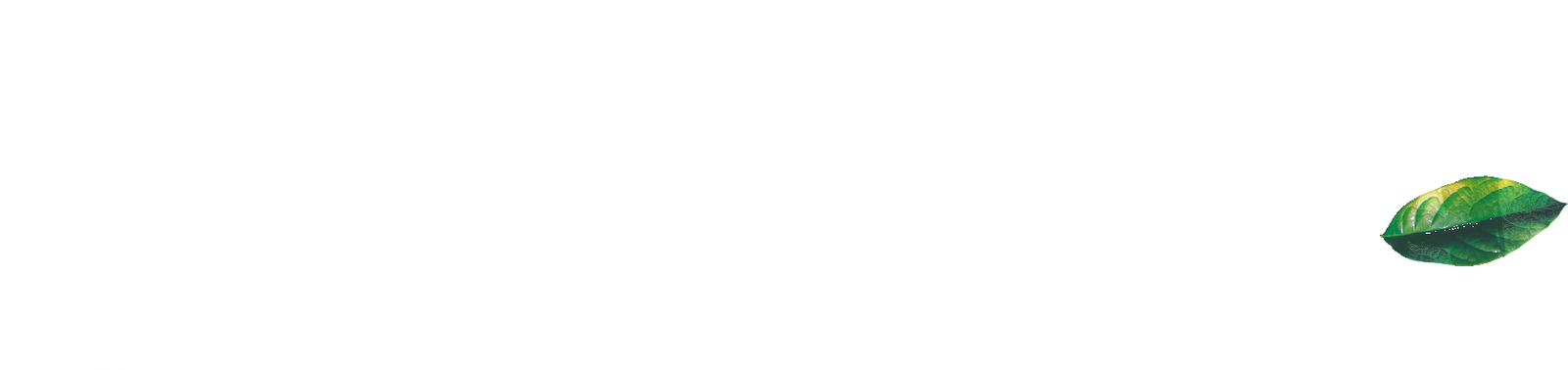 WAYKANA