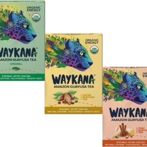 Guayusa Trial Pack — Green, Cacao & Chai